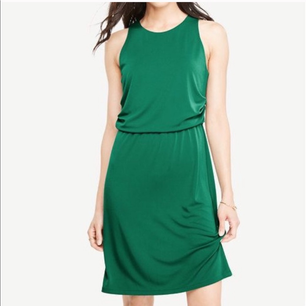 NWT Ann Taylor Loft Green Matte Side Drape Dress